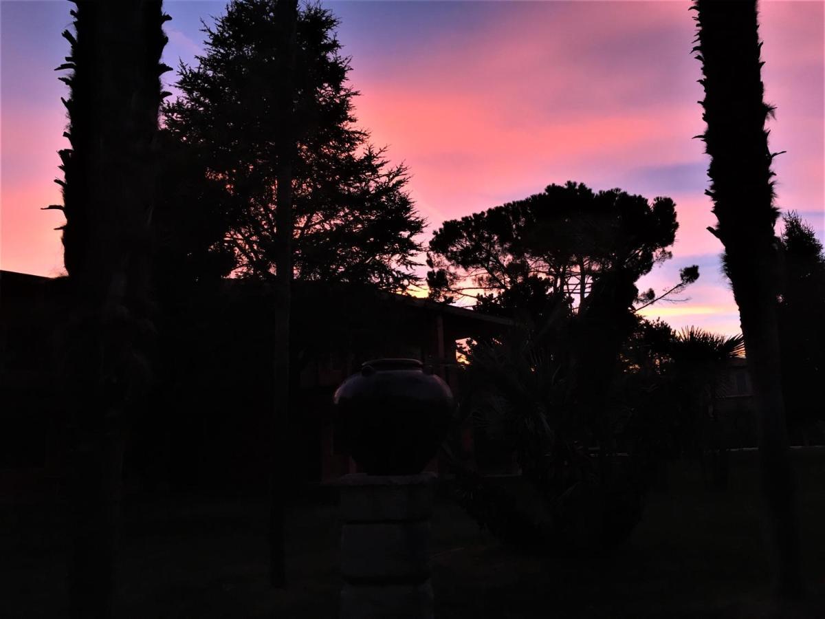 Oasi * Manerba del Garda