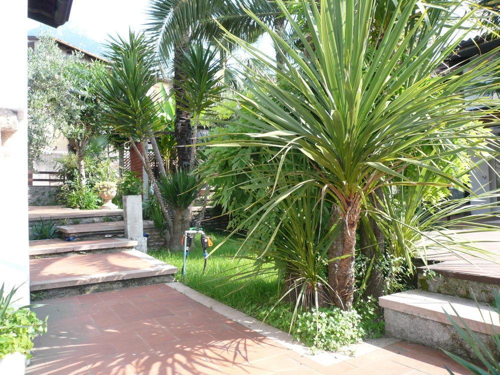 Oasi Aparthotel