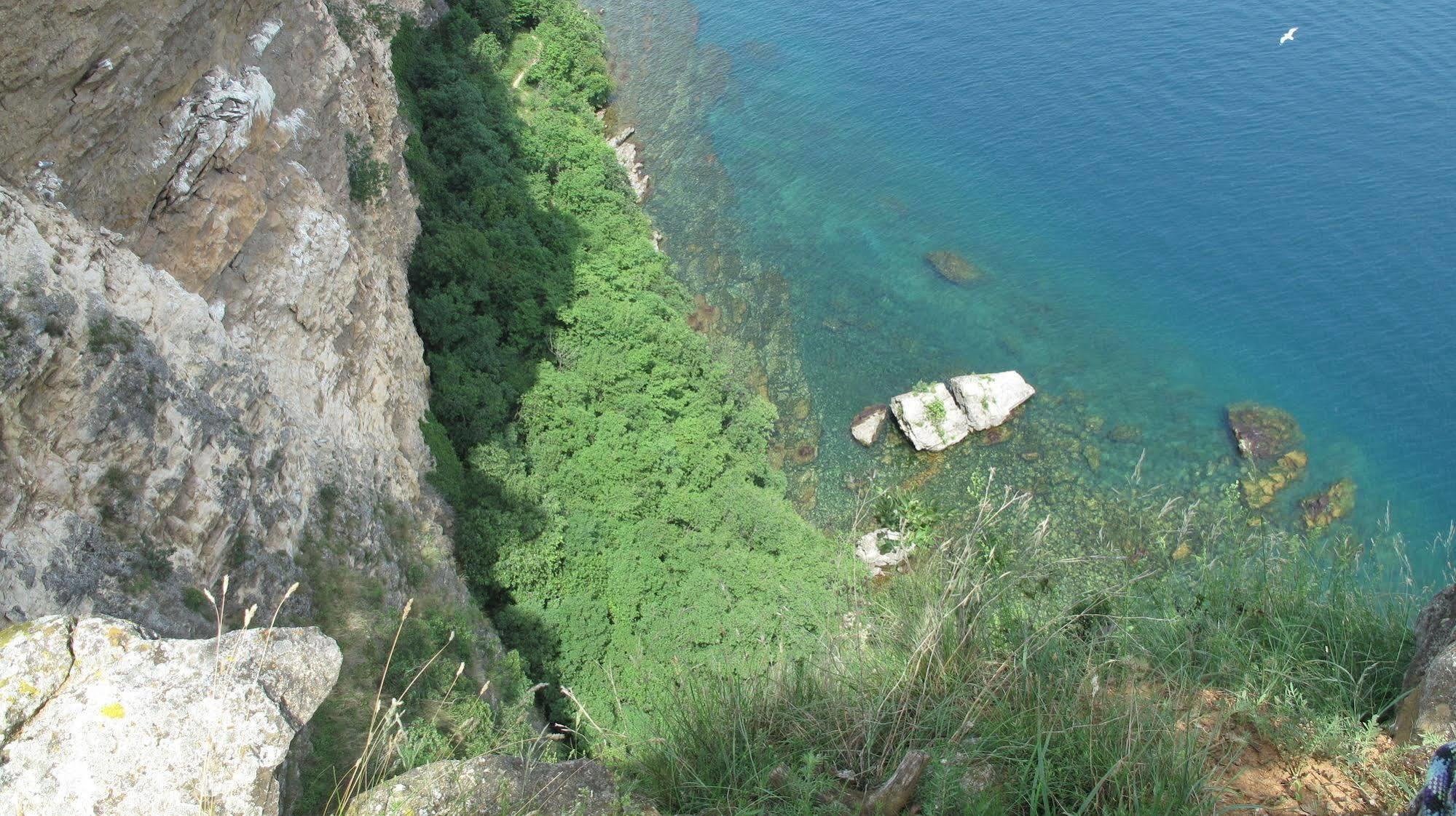 Apartahotel Oasi *